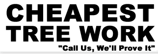 CheapestTreeWork.com